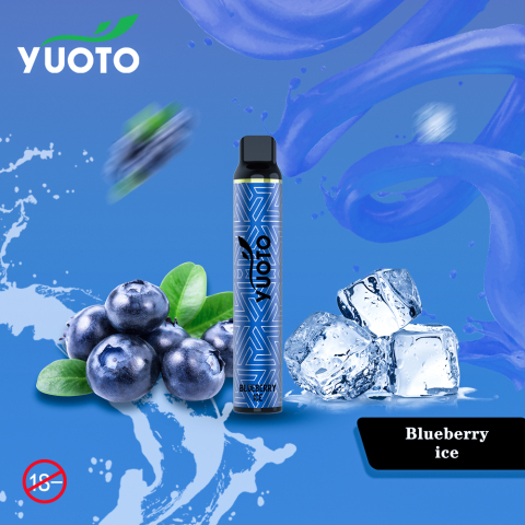 Yuoto Blueberry Ice 300