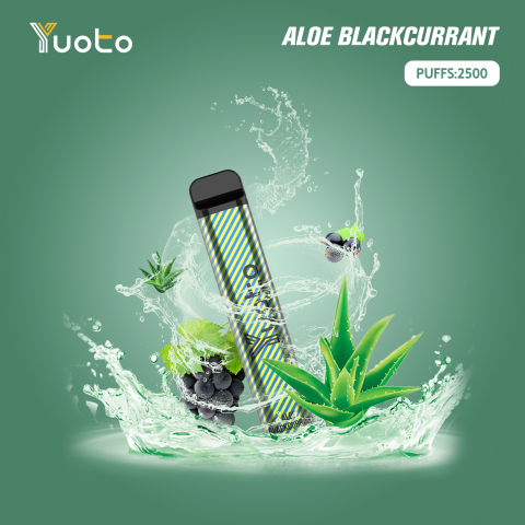 Yuoto XXL Aloe Blackcurrant 2500