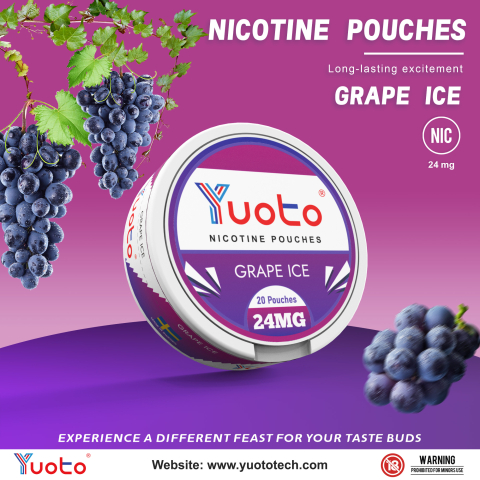 NIKOTIN POUCH-GRAPE 24mgx20